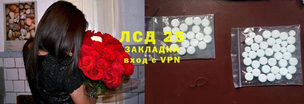 стафф Козловка