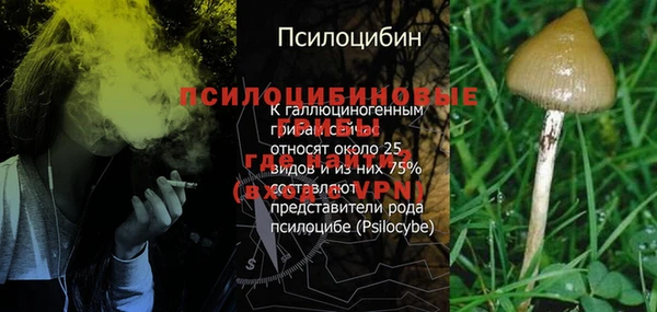 эйфоретик Корсаков