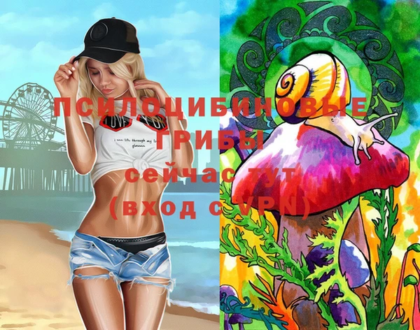 мяу мяу кристалл Костерёво