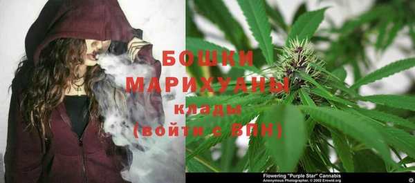стафф Козловка