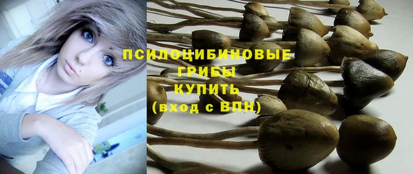 прущая мука Козельск