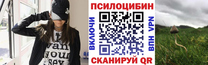 Псилоцибиновые грибы ЛСД  как найти закладки  Олёкминск 